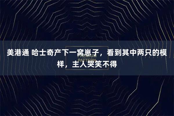 美港通 哈士奇产下一窝崽子，看到其中两只的模样，主人哭笑不得