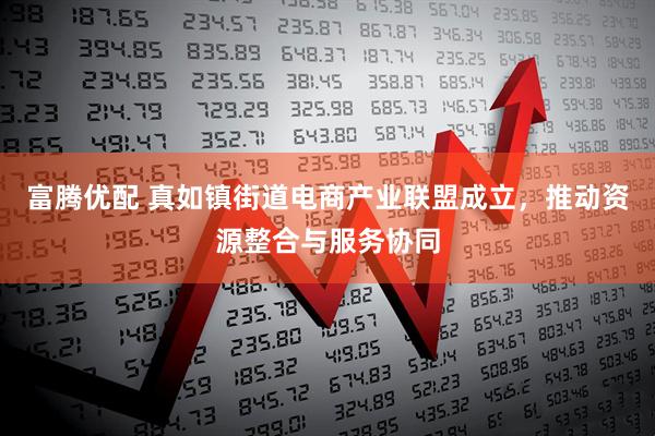 富腾优配 真如镇街道电商产业联盟成立，推动资源整合与服务协同