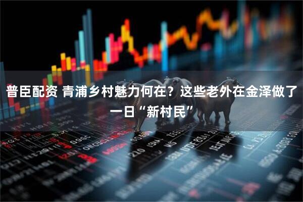 普臣配资 青浦乡村魅力何在？这些老外在金泽做了一日“新村民”