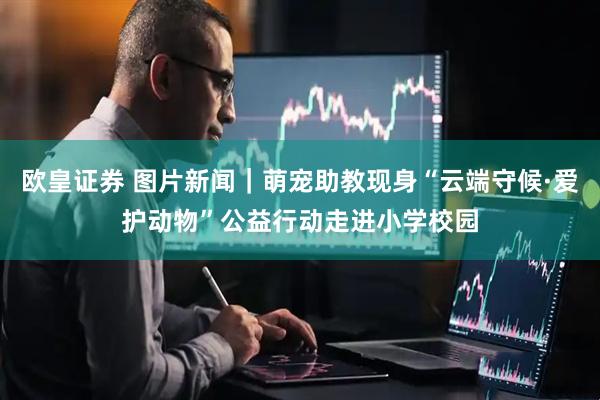 欧皇证券 图片新闻｜萌宠助教现身“云端守候·爱护动物”公益行动走进小学校园