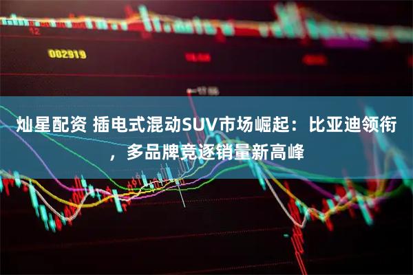 灿星配资 插电式混动SUV市场崛起：比亚迪领衔，多品牌竞逐销量新高峰