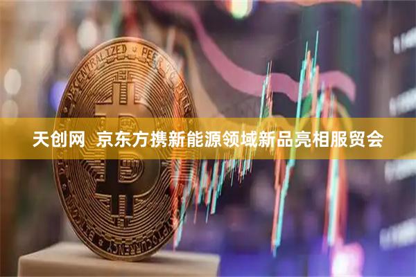 天创网  京东方携新能源领域新品亮相服贸会